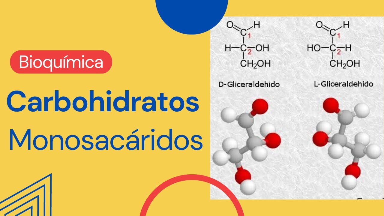 Carbohidratos || Monosac&aacute;ridos || Aldosas y Cetosas