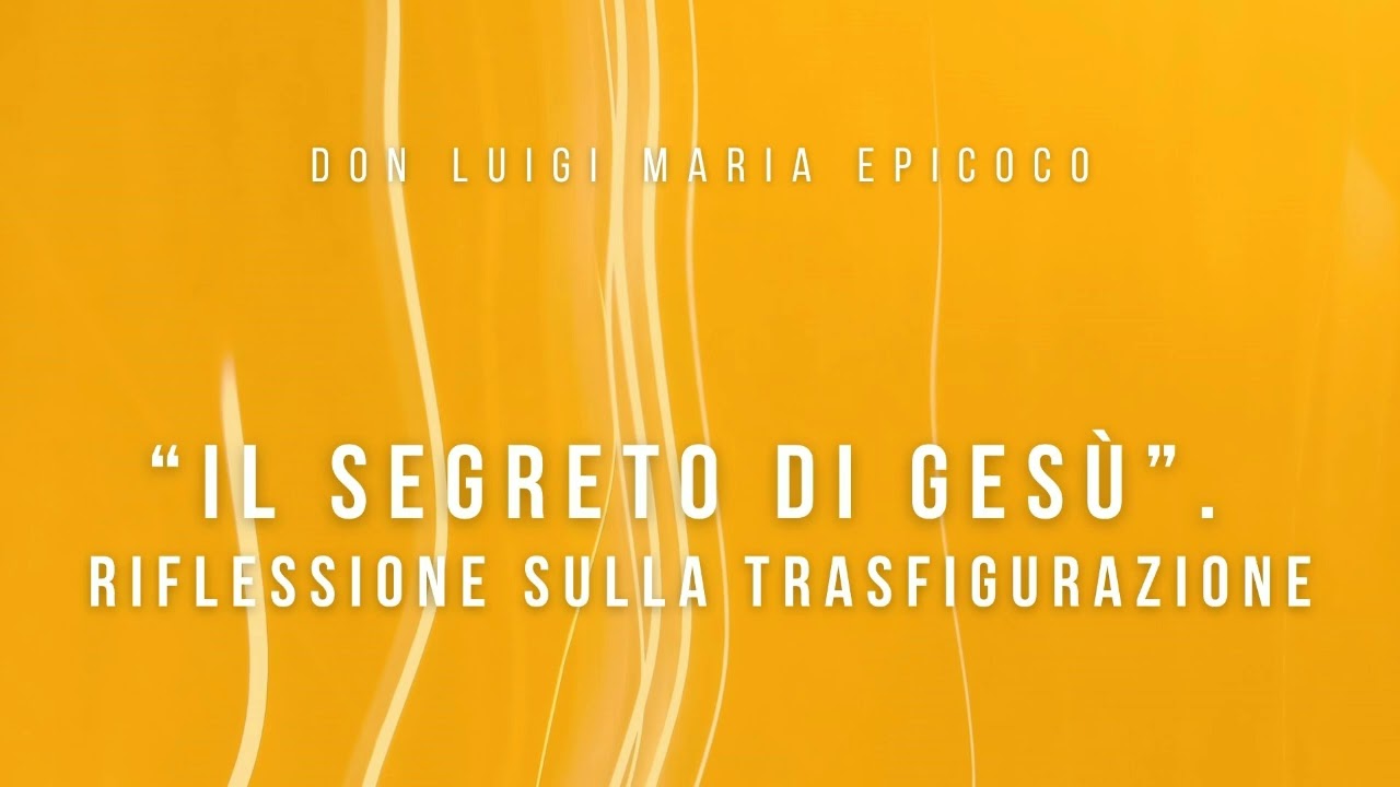 Don Luigi Maria Epicoco - 