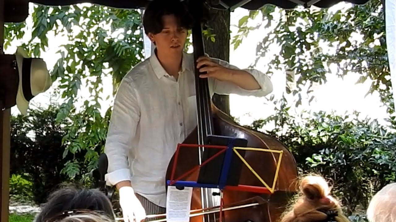 double bass (contrabas) and carillon #3