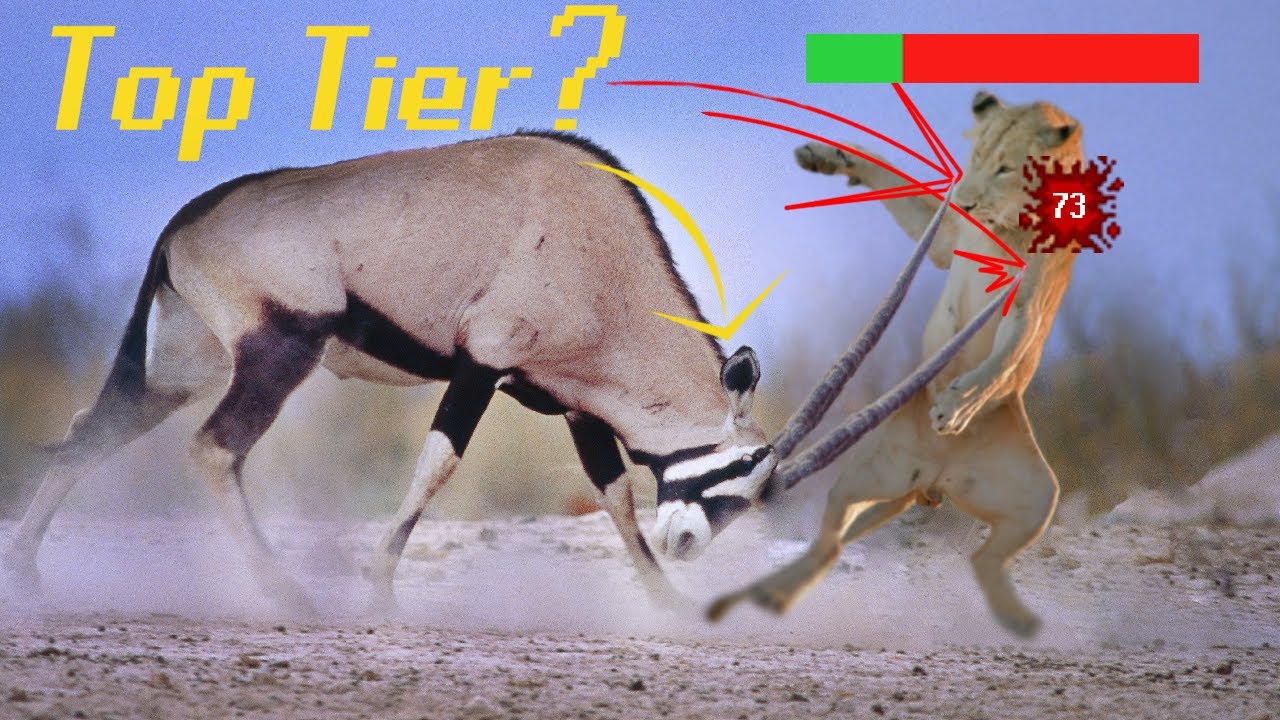 Czy Horns są OP?