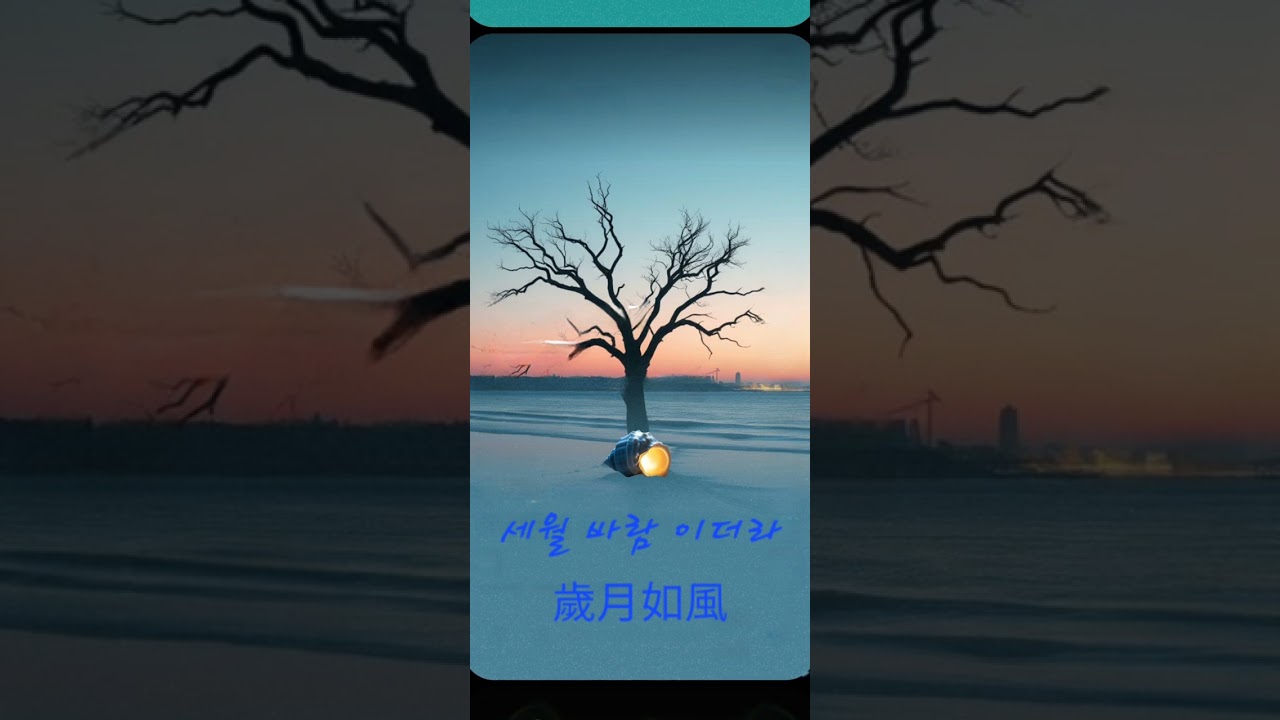 세월 바람이더라-(歲月如風)