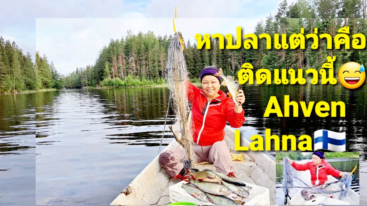 Kala Ahven,Lahna #Fishning@IsaanFinland#หาอยุ่หากินต่างแดนใส่มองแม่น้ำทะเลสาบติดสุ่อย่าง😁🇫🇮