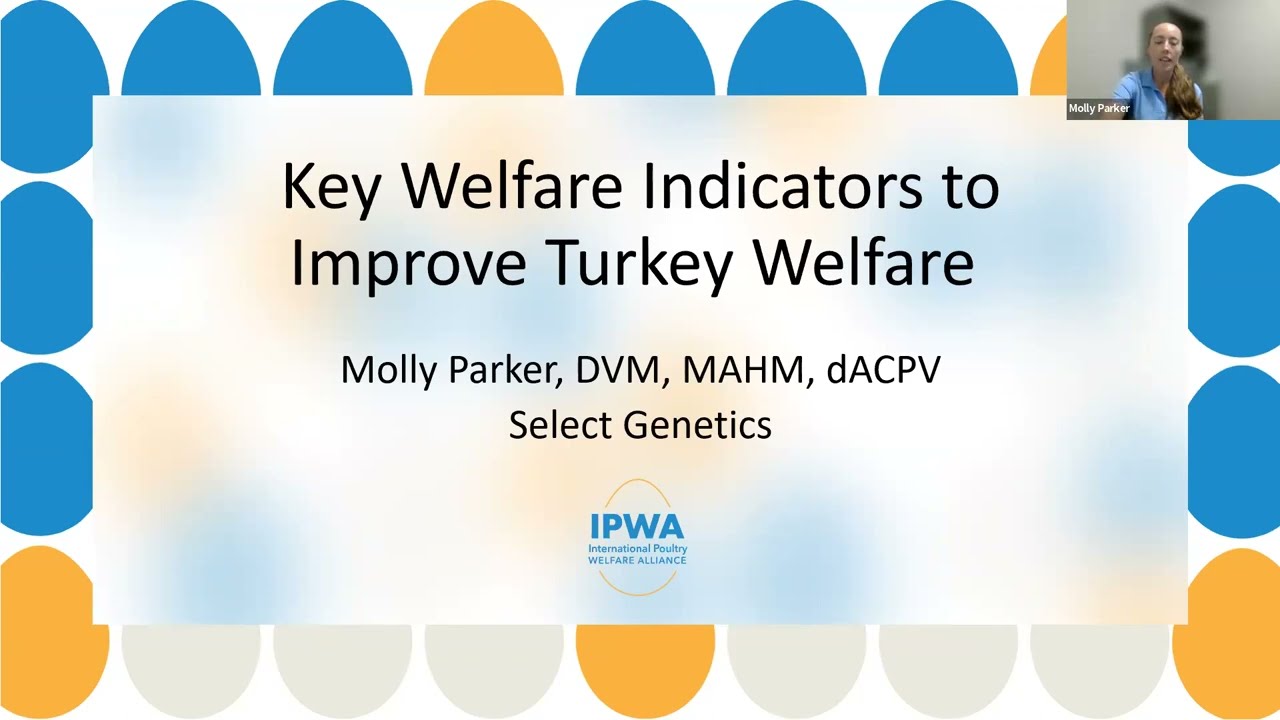KWI Quick Tips Webinar: Turkey