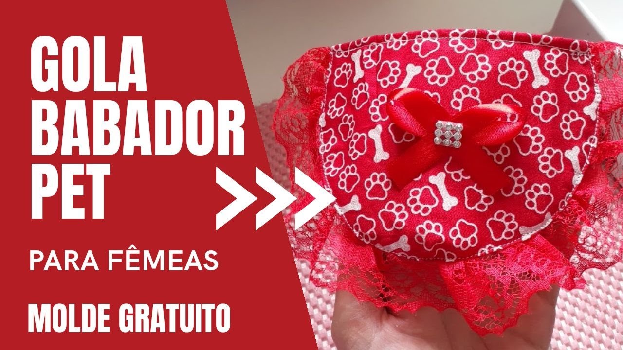 Gola Babador Pet Para Fêmea | Molde Gratuito