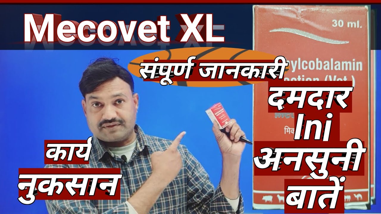 Vet Injection 👉 Mecovet XL Injection Veterinary uses hindi Mecovet xl injection price use Vets Club