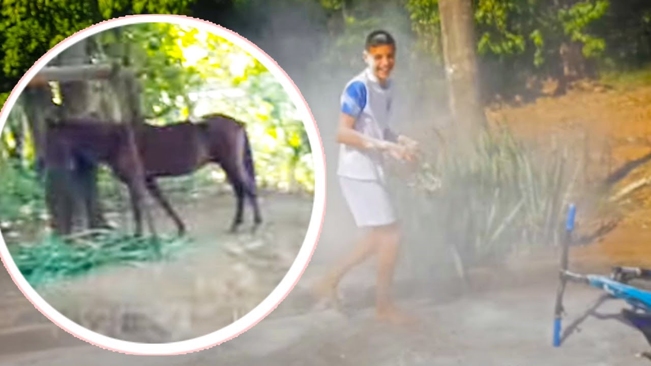 O CAVALO DO CR7 SUMIU * No dia do seu aniversário *