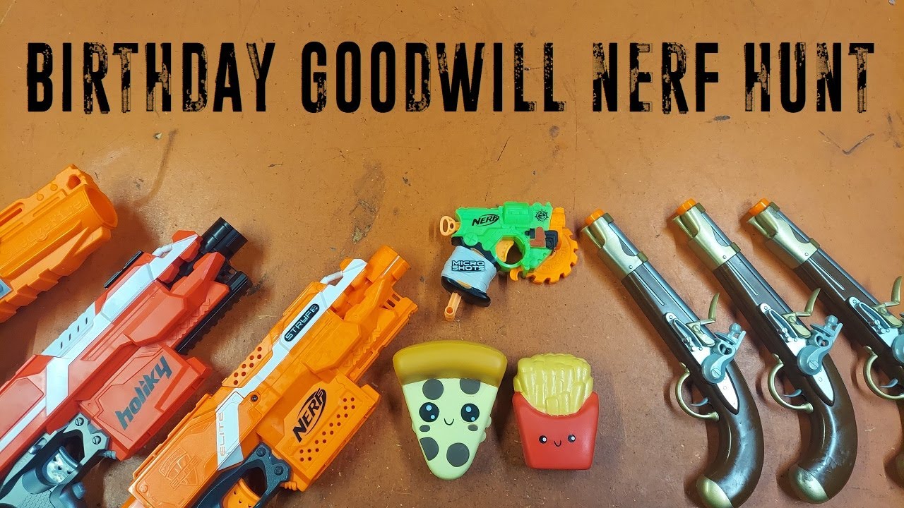 Goodwill Nerf Hunt - Birthday 2024