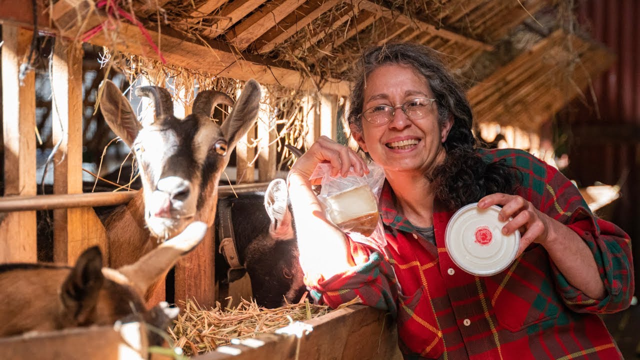 Meet the farm sustainably raising dairy goats in Guatemala