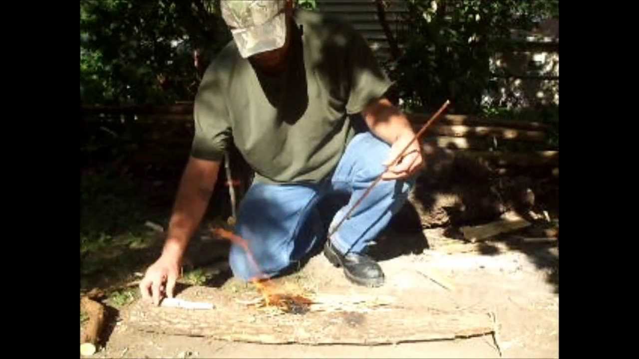 Hand drill - Horseweed on Juniper