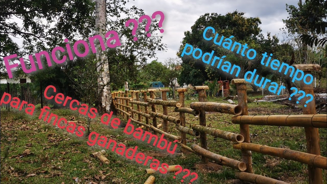 Cómo hacer una cerca de bambú para ganado u otros animales ???
