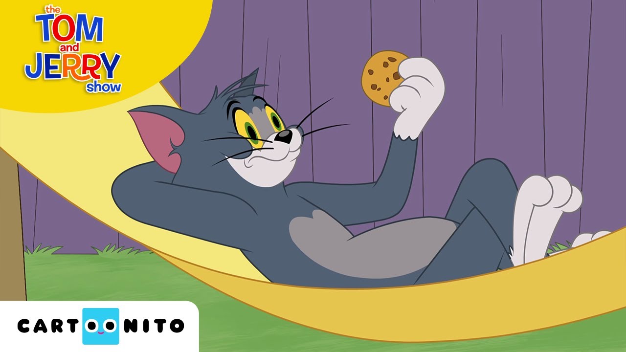 TOM VE JERRY | Bir Dilek Tut | Cartoonito Türkiye 🇹🇷