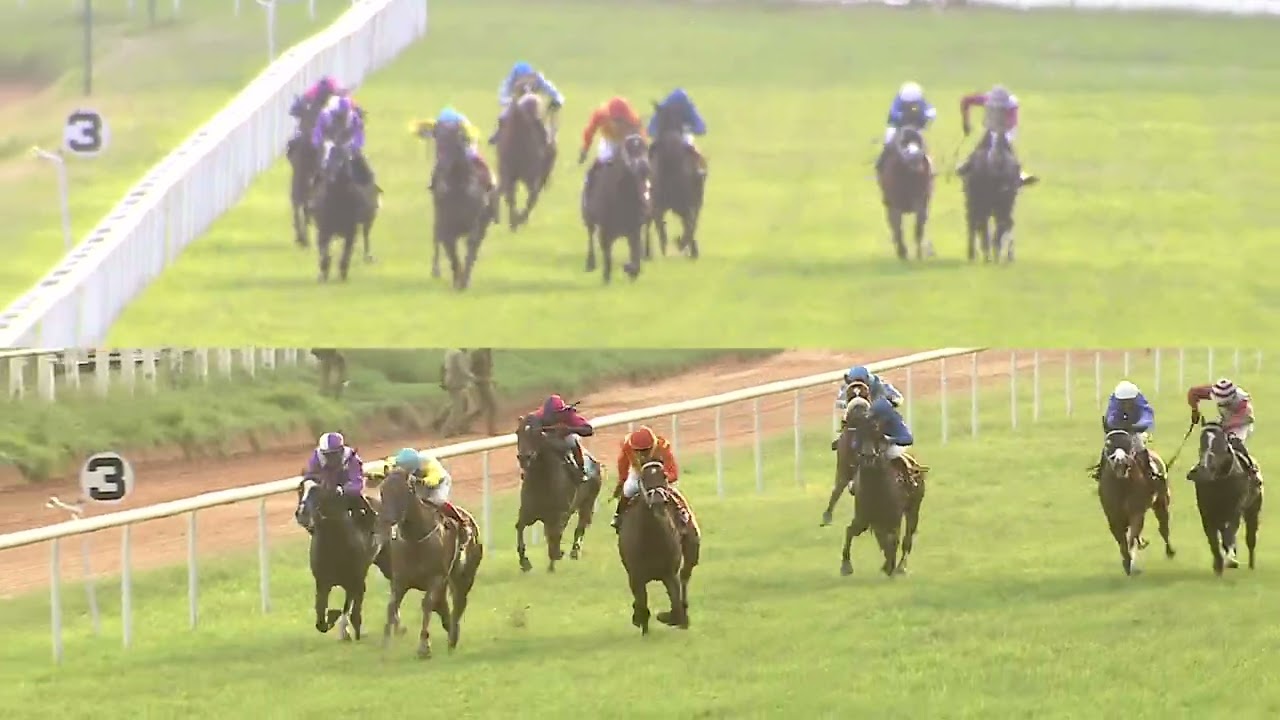 GLORIOUSNESS : THE PENDRAGON PLATE DIV I (53)