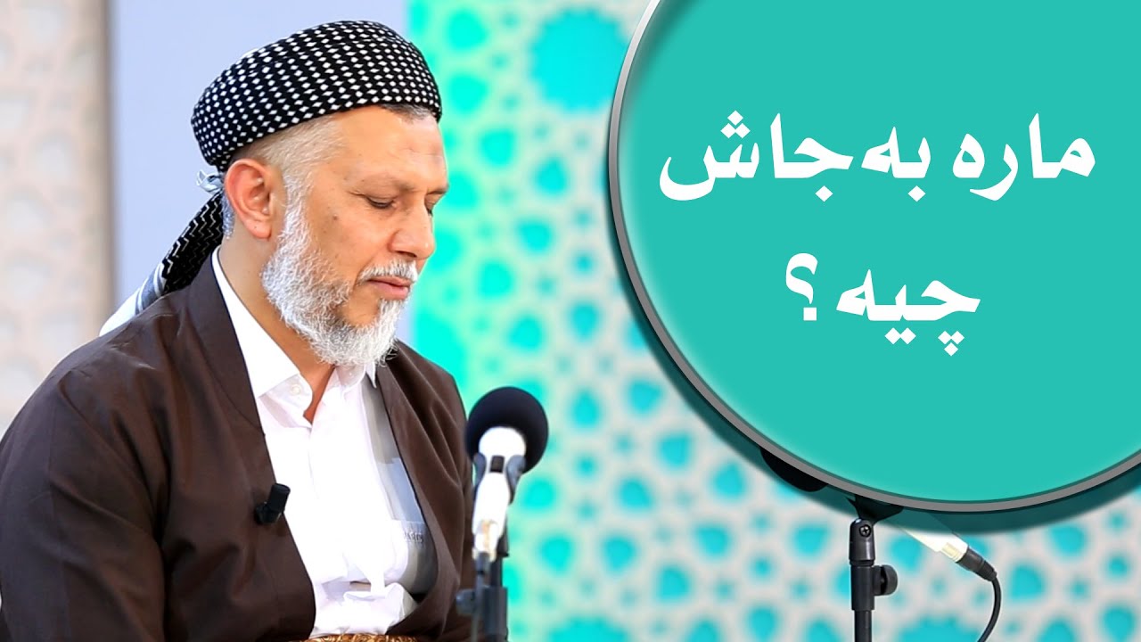 مارە بەجاش دروستە؟ ١٨ ٨