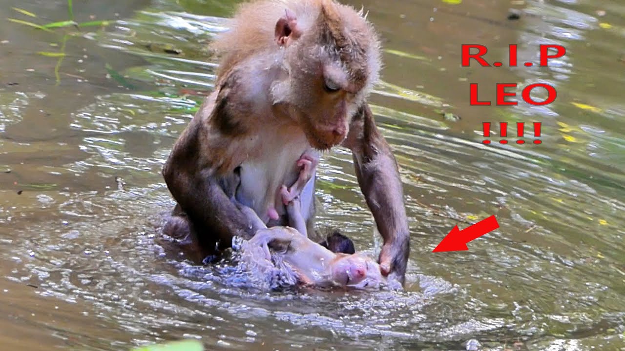 mom Libby Train baby how to swim
