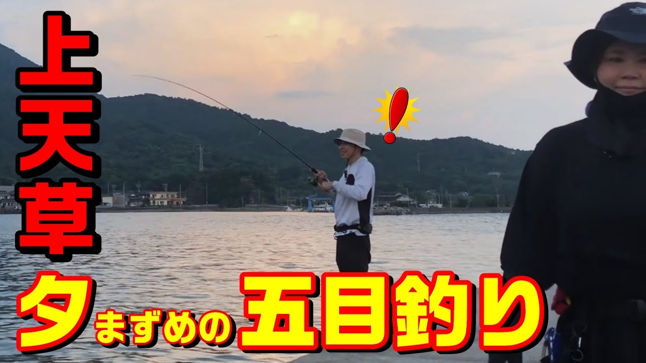 上天草の人気堤防で五目釣りしたら初魚種2発に嬉しい高級魚‼︎