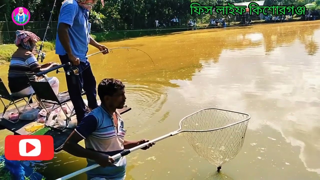 শিকারি মুজাহিদ গান!!! ফিস লাইফ কিশোরগঞ্জ!!!