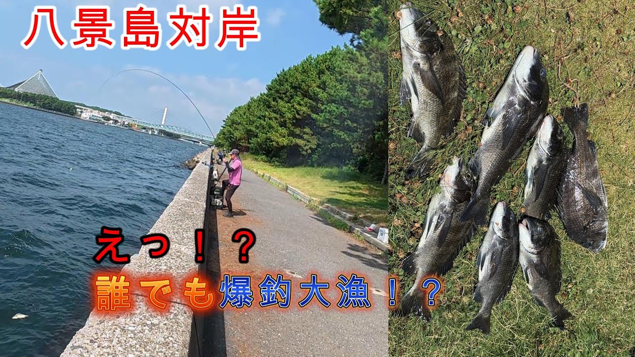 【八景島対岸釣り】遠矢ウキ、半誘導沈ませ釣りで大漁。フカセ釣りを徹底解説！これでみんなも爆釣大漁。神奈川県横浜市金沢区の釣果