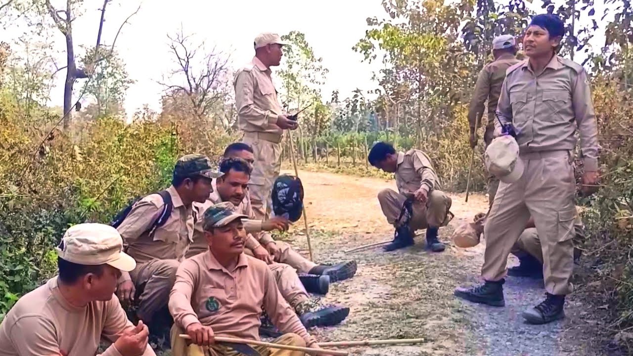 Assam Forest | Manas National Park 🦌🐅
