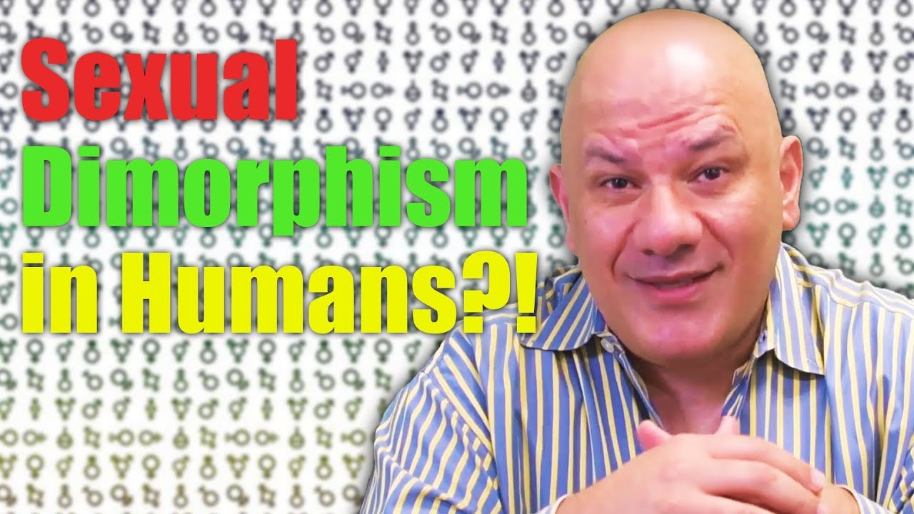 How Sexual Dimorphism in Humans Can Lead to Better Relationships!