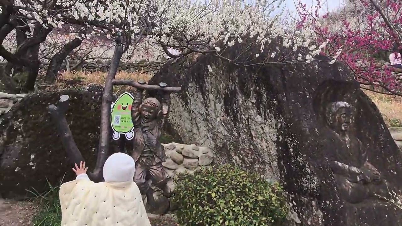 광양매화축제를 가다