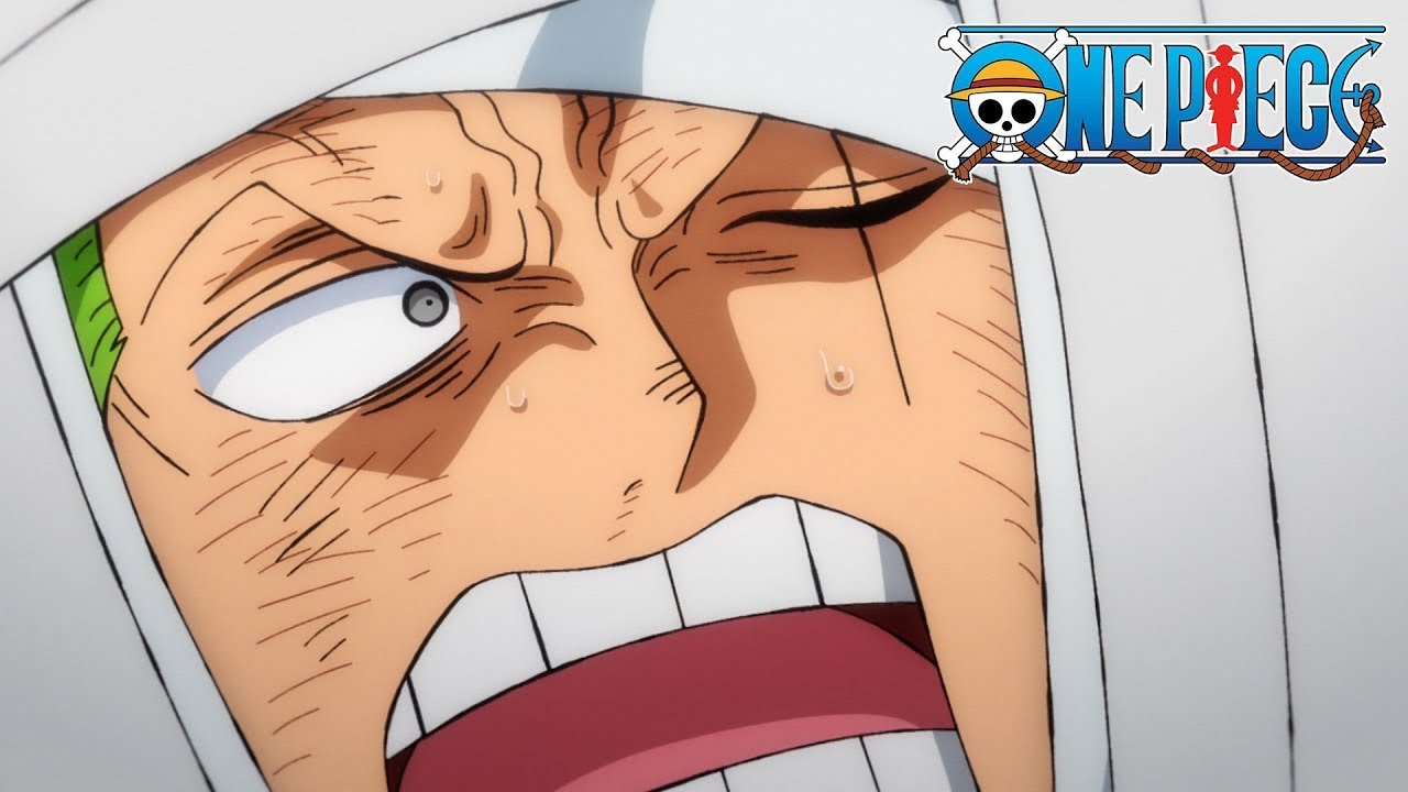 Zoro is Scared of Needles | One Piece