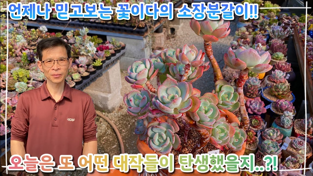 언제나 믿고보는 꽃이다의 소장품 분갈이 !! 오늘은 또 어떤 대작들이 탄생했을지 ..?! 다들 어서 구경하러 오세요 ~!