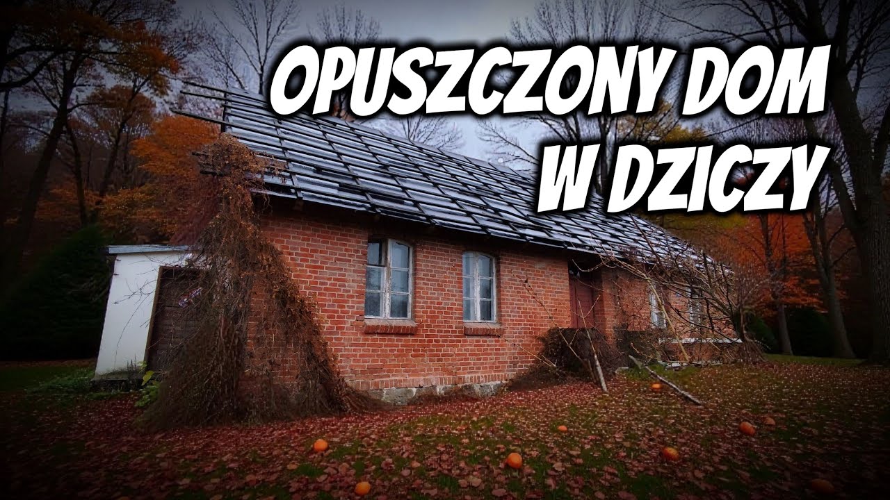 OPUSZCZONY DOM NA ODLUDZIU I CIEKAWE ZNALEZISKA #urbex #explore #urbandecay 