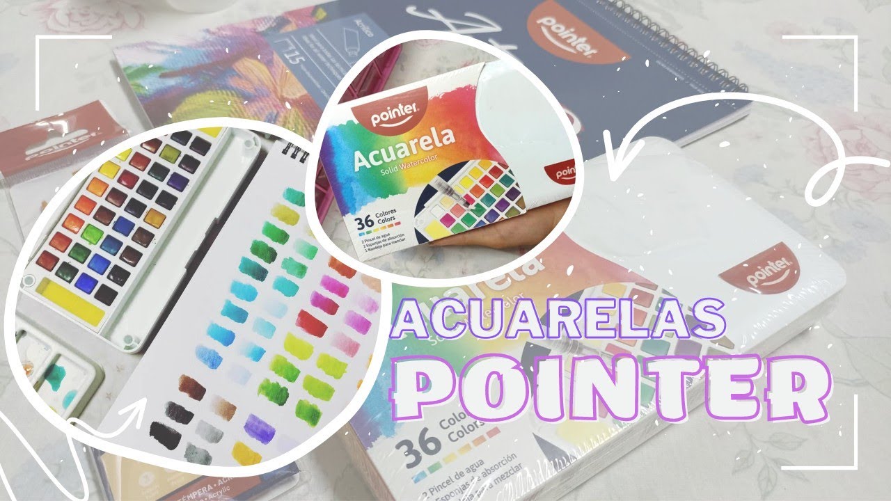 ✨¿Acuarelas calidad - precio?✨ Reseña Acuarelas POINTER 🌷| Saori Studio