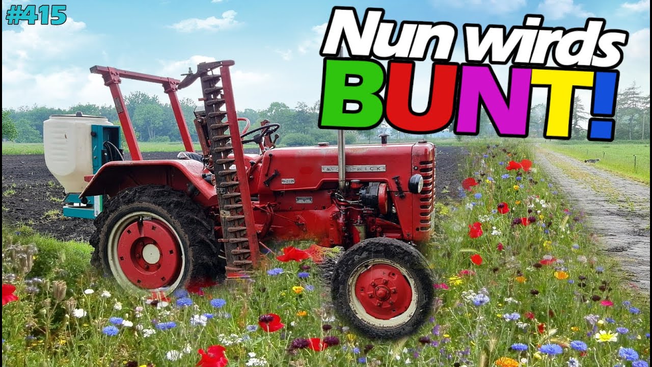 BLUMENWIESE SÄEN | Mc Cormick D217 mit LEHNER Streuer! | IHC 423 |  IHC 633 | Walzen Mr. Moto