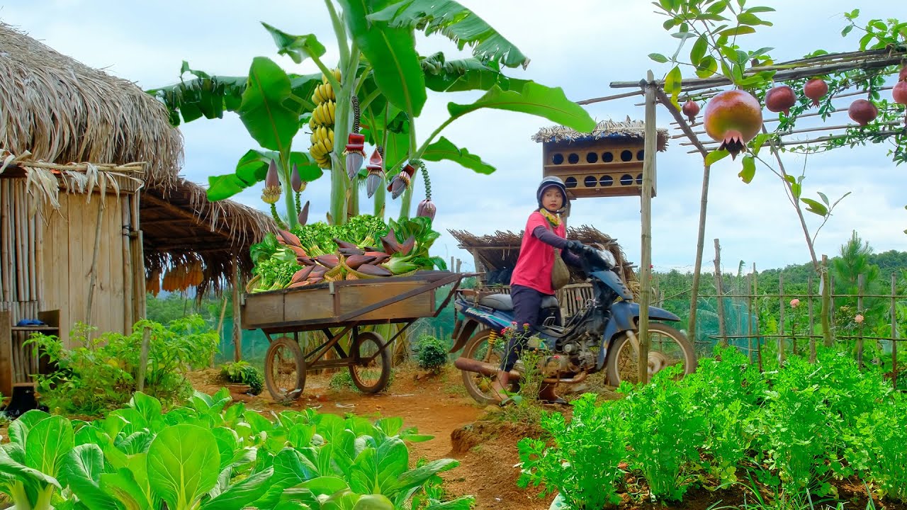 Harvest A Truckload Of Vegetables And Fruits To Sell At The Market