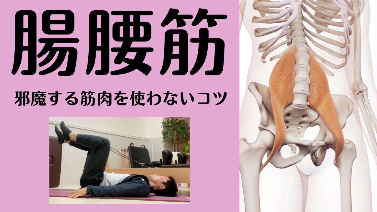 【腸腰筋を確実に使う方法】腸腰筋エクササイズを効果的に行うには「邪魔する〇〇筋を抑制すること」が第一優先！【愛媛県松山市　ピラティス・整体】