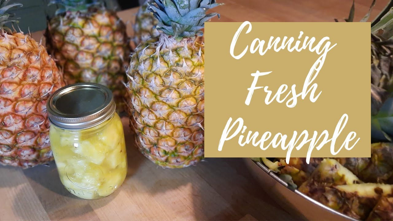 Canning Fresh Pineapple | No Added Sugar!!
