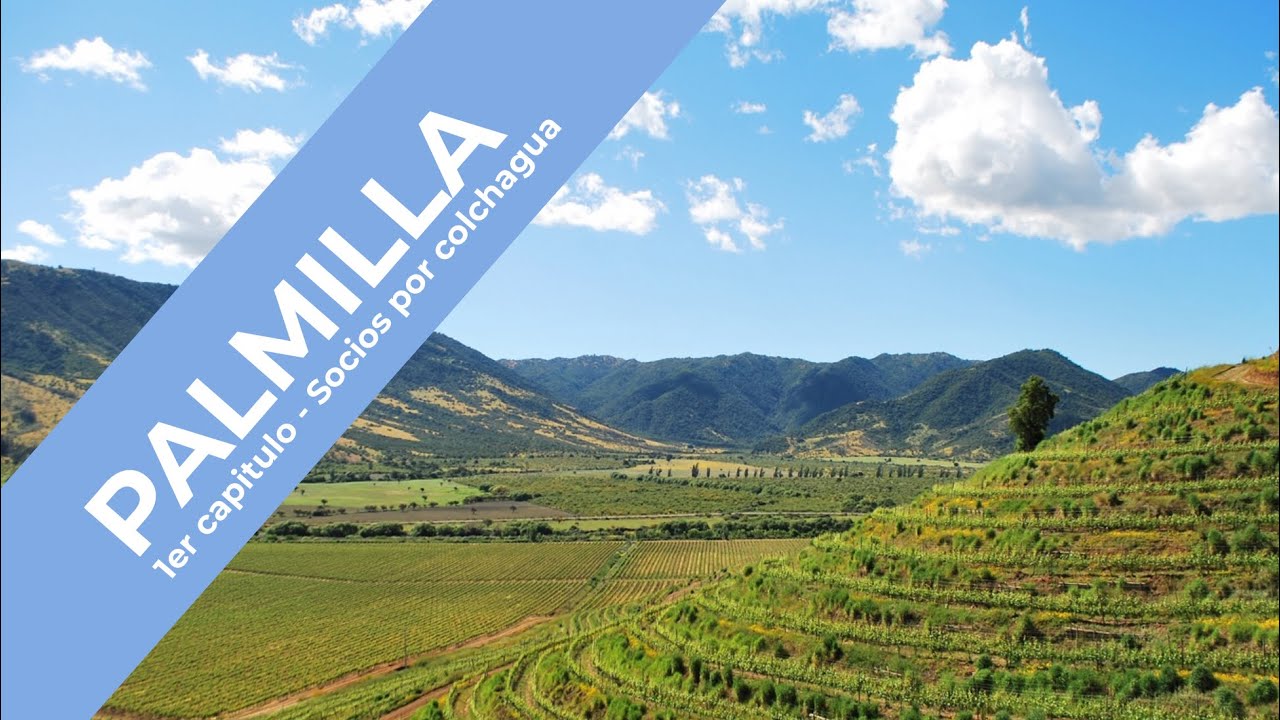 Nuestra aventura en Colchagua comienza aqu&iacute;: Lo que es Palmilla.