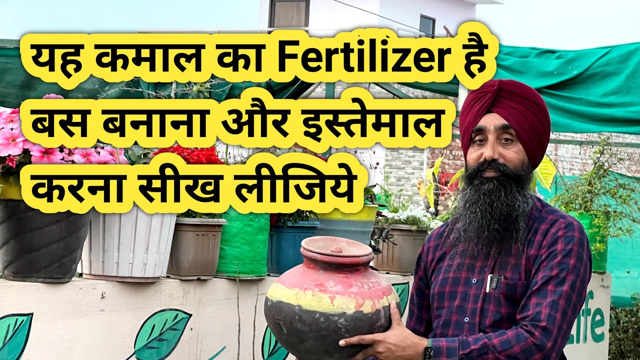 यह कमाल का Fertilizer है || बस बनाना और इस्तेमाल करना सीख लीजिए || Organic Fertilizer ||