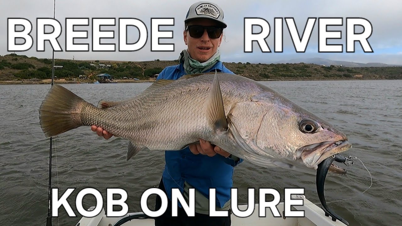 BREEDE RIVER KOB on LURES