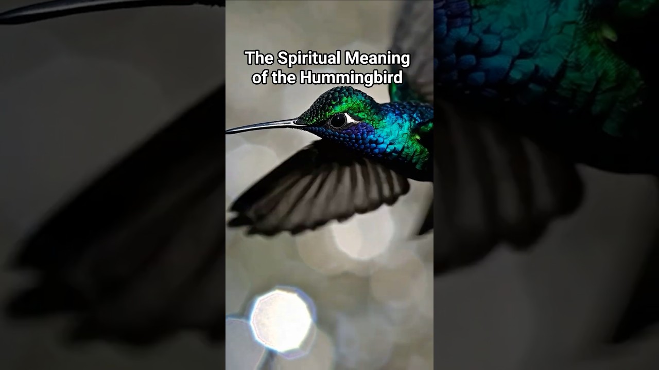 The Spiritual Meaning of the Hummingbird