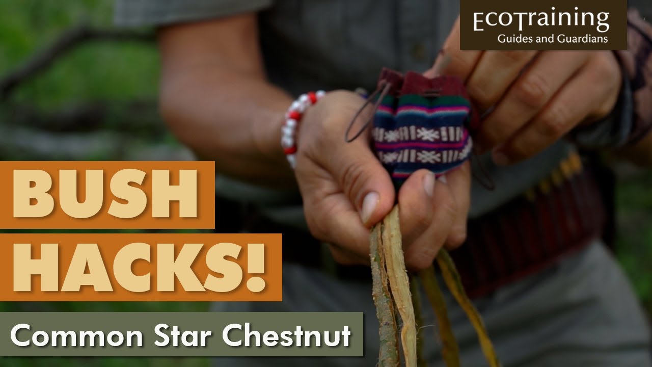 Bush Hacks | How to make rope in the wild