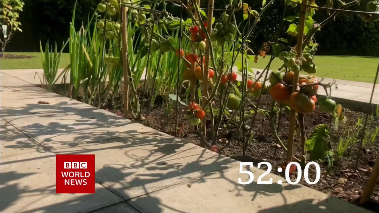 Mock Own Footage BBC News Countdown #83 - Early Autumn Special