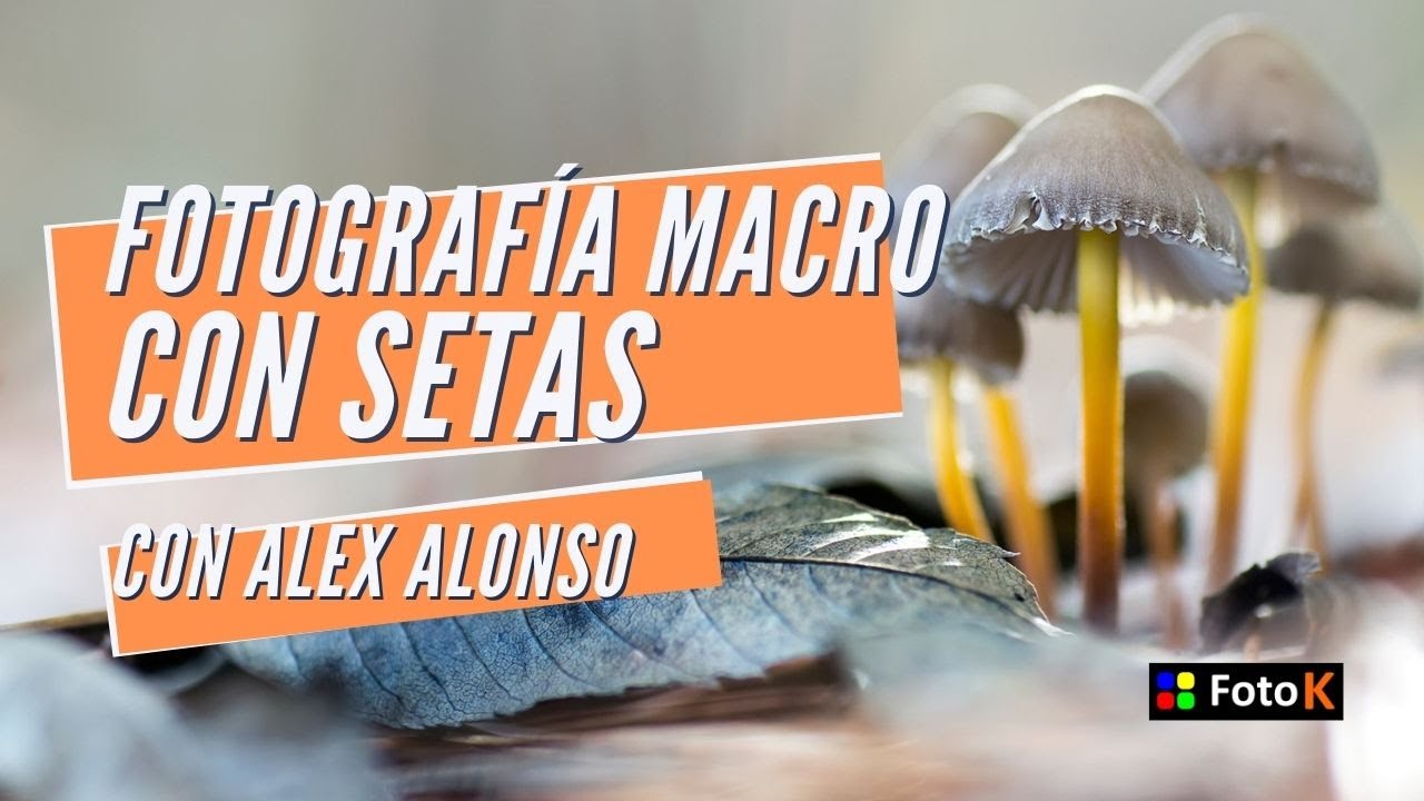 Fotografía Macro con setas, con Álex Alonso
