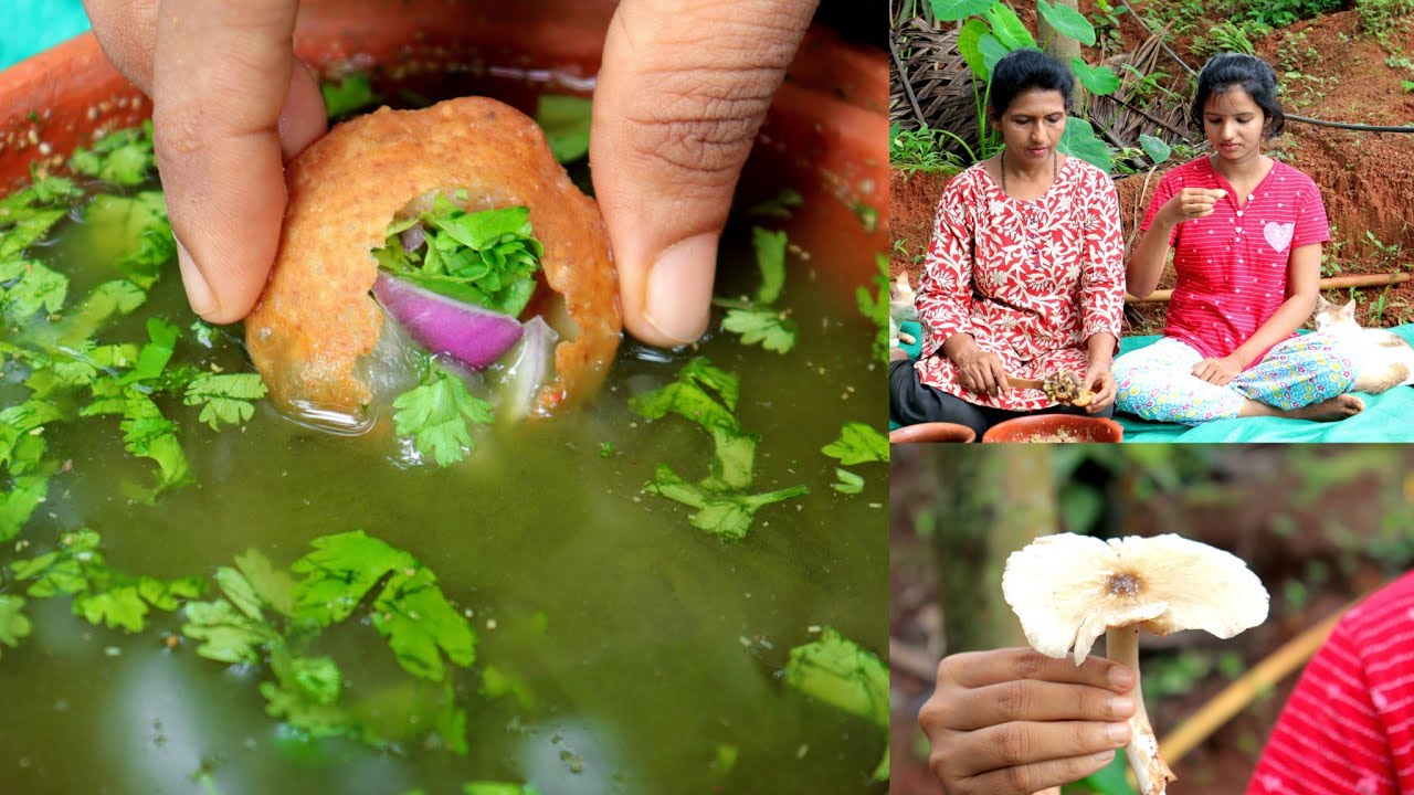ಸುಲಭವಾಗಿ ಮನೆಯಲ್ಲಿ ಪಾನಿಪುರಿ ಮಾಡಬಹುದು|ತೋಟದ ಮಧ್ಯದಲ್ಲಿ ಅಣಬೆ|Easy homemade panipuri|Mushroom in the field