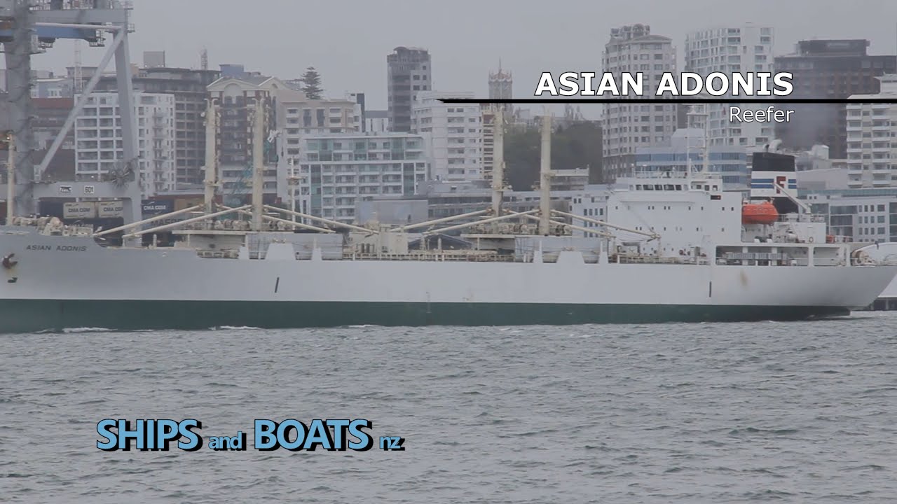Asian Adonis - Reefer