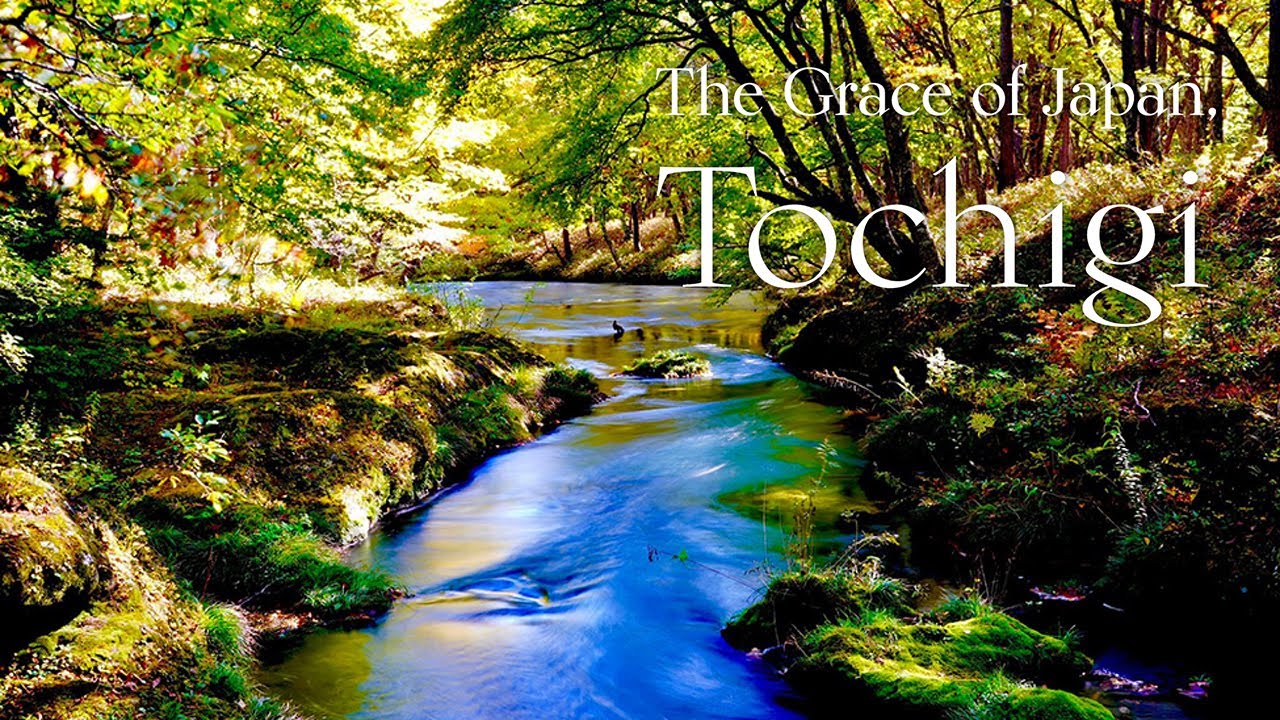 The Grace of Japan, TOCHIGI