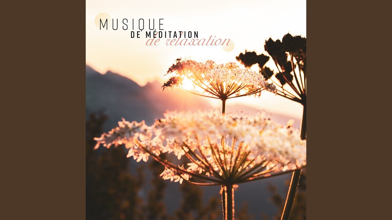 Musique de m&eacute;ditation de gu&eacute;rison mentale