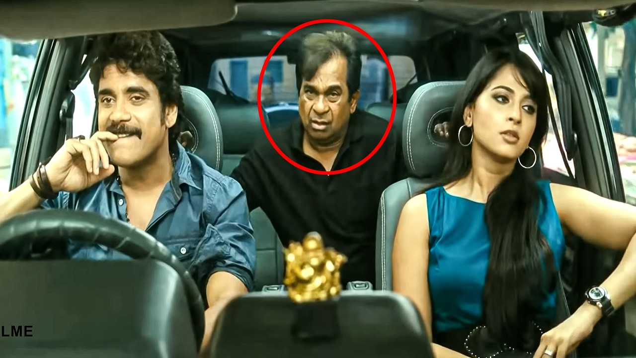 Nagarjuna , Brahmanandam And Anushka Shetty Funny Comedy Scene | Filme Telugu