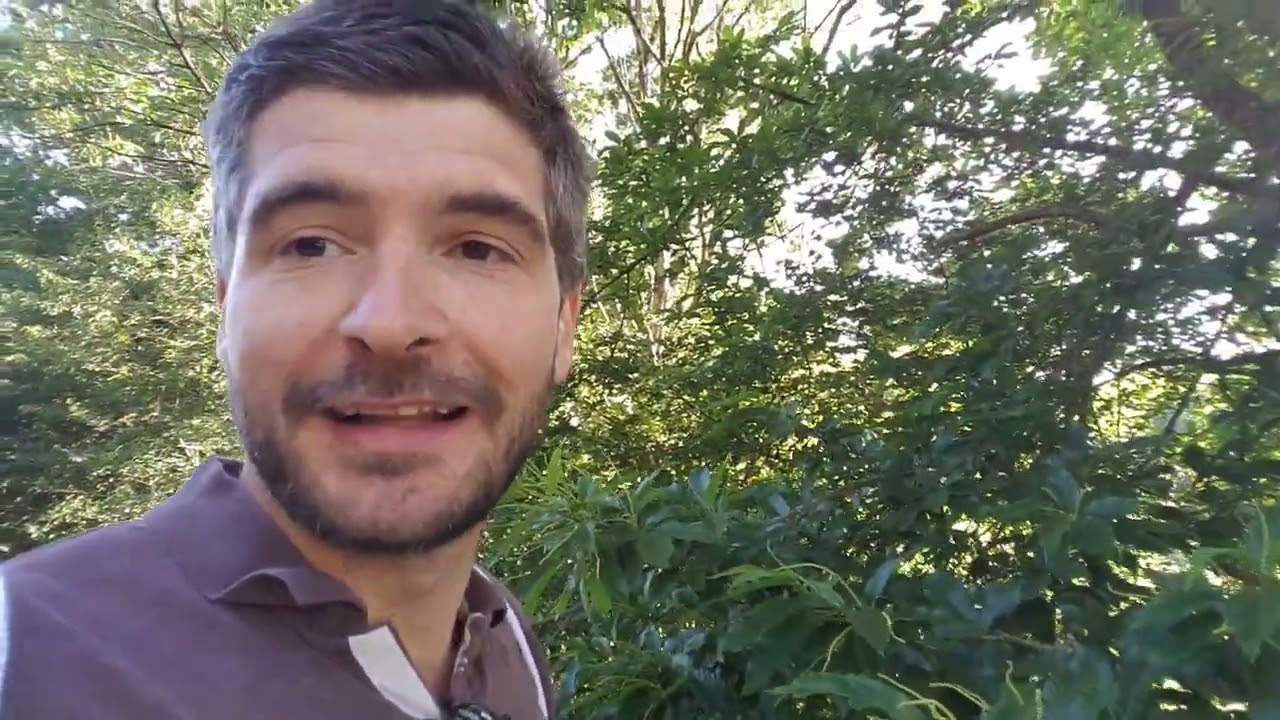 Production et Composition du miel d'été en Bretagne