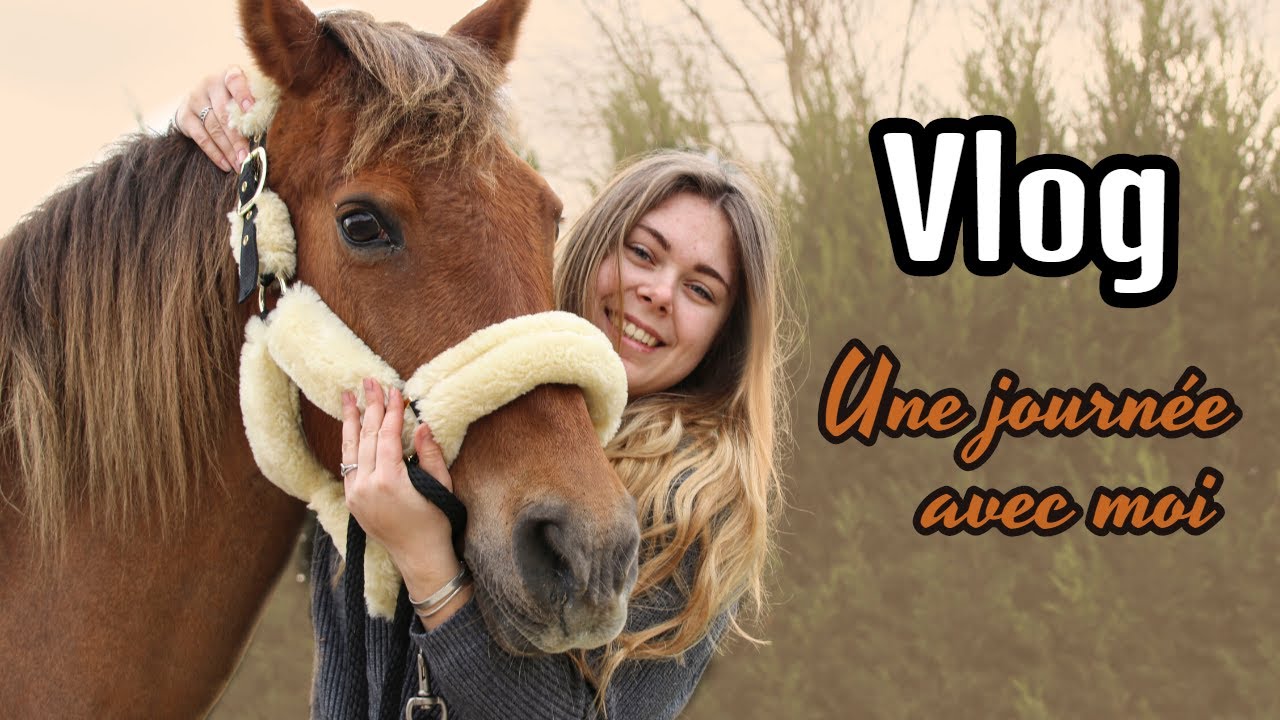 VLOG une journée aux écuries 😍