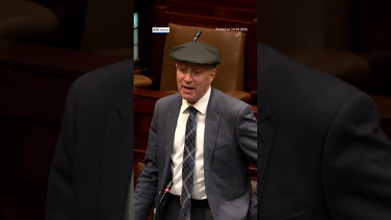 Майкл Хили-Рэй заявил парламенту о своей отставке с поста министра | #RTENews #ireland
