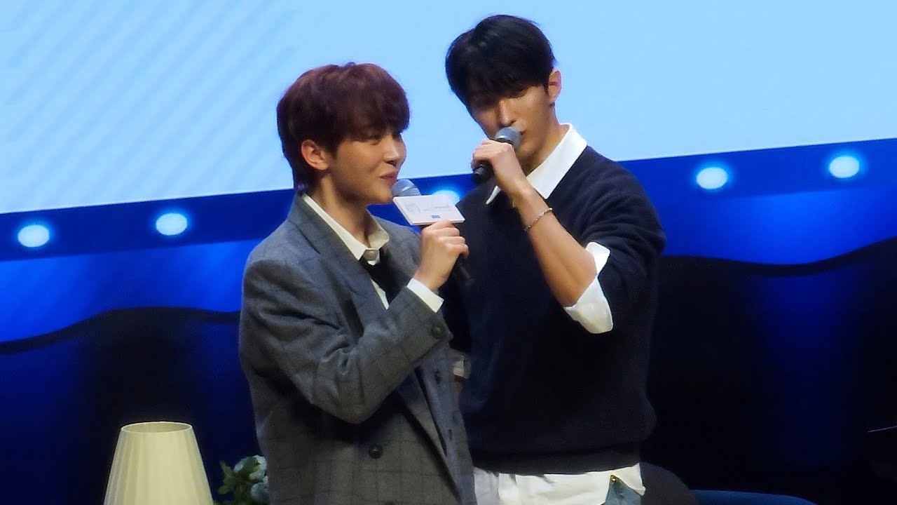 도겸 위주/승관 민규 디스/도겸 캐럿 디스