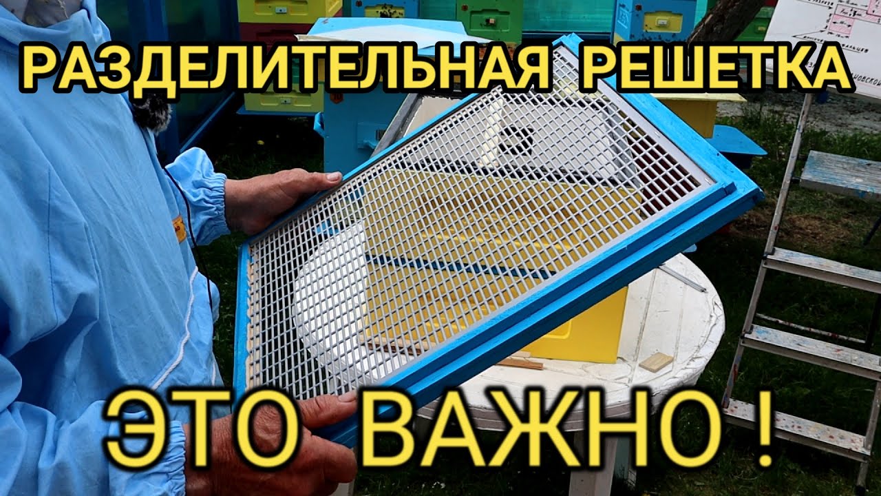 Пчелы охотно идут через разделительную решетку благодаря правильным размерам обвязки.