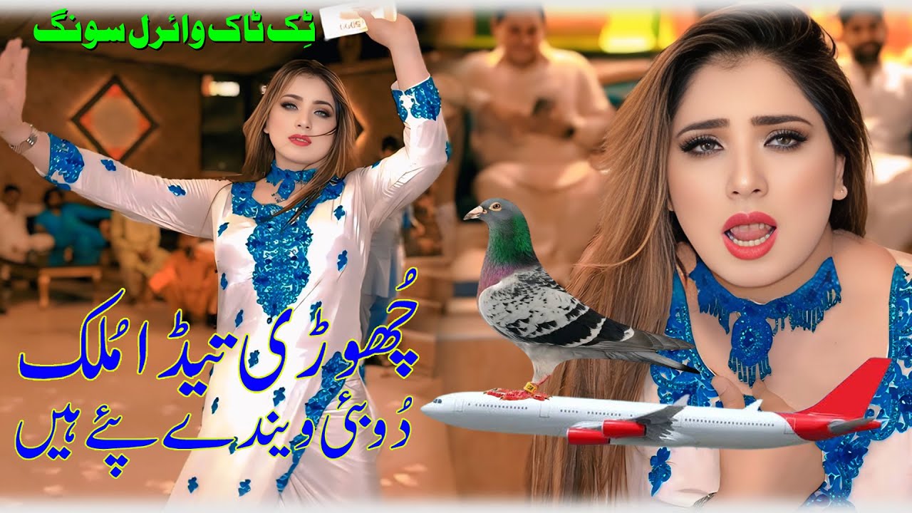 TiK ToK Viral Song || 2025 || Chori Taida Mulk Dubai || Rehan Ali & Zubair Been Wala || Rohi Raaj Pr